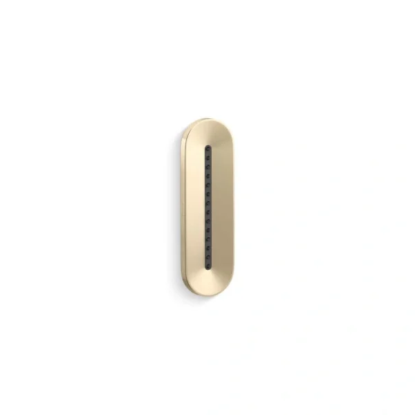 KOHLER Statement Oblong Vichy 1.75 GPM 1-Spray Body Spray in Vibrant French Gold