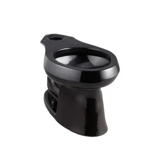 KOHLER Wellworth Round Toilet Bowl Only in Black Black