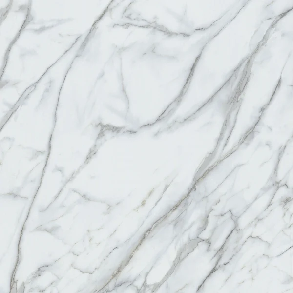 Lucida USA Terracore Calacatta Gray 22-mil x 12-in W x 24-in L Waterproof Interlocking Luxury Vinyl Plank Flooring (16-sq ft/ Carton)