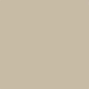 Mohawk Vivant Matte Urban Putty 6 x 6 Ceramic Wall Tile