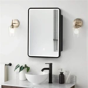 NeuType 20-in W x 28-in H LED Black Square Medicine Cabinet Mirror