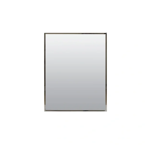 Project Source 16.13-in x 20.13-in Surface/Recessed Mount Stainless Steel Mirrored Medicine Cabinet