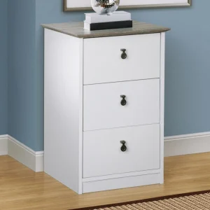 Saint Birch Finley White and Drift Wood Office Cabinet