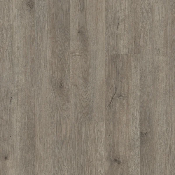 Shaw Perennial Brisbane Gray 6-mil x 6-in W x 48-in L Waterproof Glue Down Luxury Vinyl Plank Flooring (53.93-sq ft/ Carton)