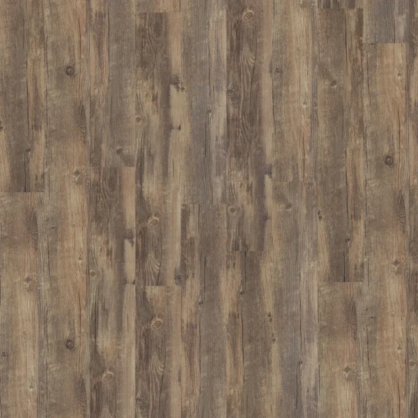 Shaw Perennial Spur Brown 6-mil x 6-in W x 48-in L Waterproof Glue Down Luxury Vinyl Plank Flooring (53.93-sq ft/ Carton)