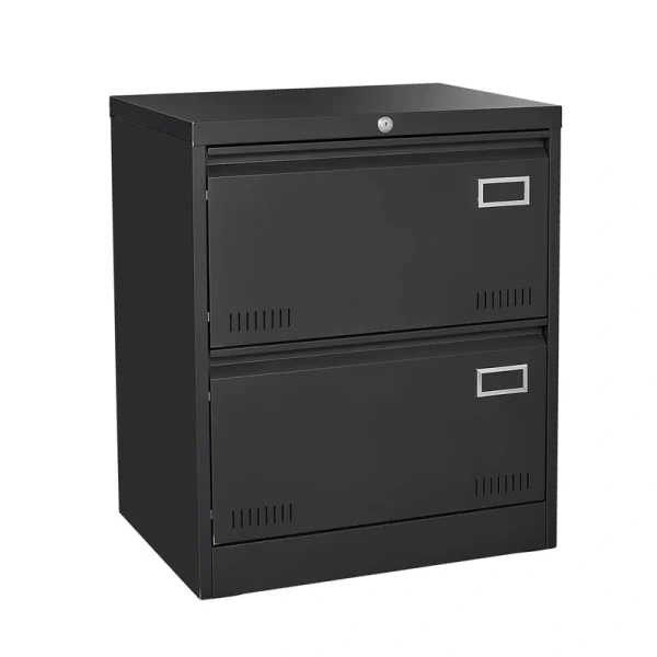 SINOFURN Black 2-Drawer 23.6-in File Cabinet