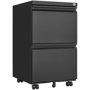 Sumyeg File cabinet Black 2-Drawer 15.35-in File Cabinet