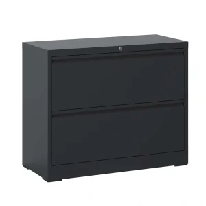 Sumyeg File cabinet Black 2-Drawer 35.43-in File Cabinet