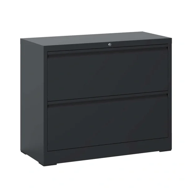 Sumyeg File cabinet Black 2-Drawer 35.43-in File Cabinet