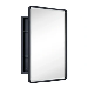 TEHOME 16-in x 24-in Surface Mount Matt Black Mirrored Medicine Cabinet