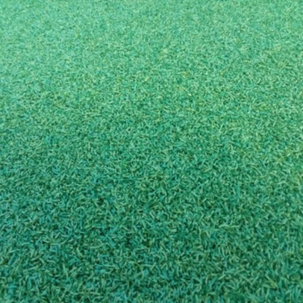 TrafficMaster Putting Green 6 ft. W x Cut to Length Artificial Grass Turf
