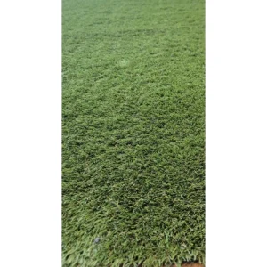 TrafficMaster Soft Fescue 6 ft. x 12 ft. Green Artificial Grass Rug