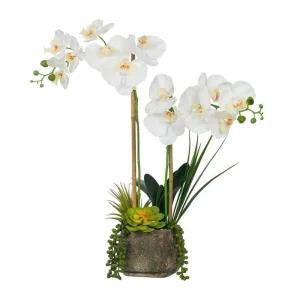 Vanity Art 23. 23 in. H Artificial Phalaenopsis Orchids with Succulents Floral Arrangement in Pot