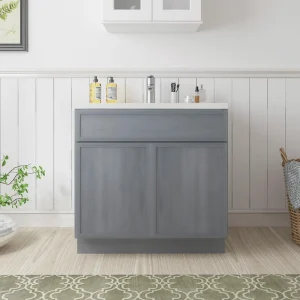 Vanity Art 30 in. W x 21 in. D x 32.5 in. H 2-Doors Bath Vanity Cabinet without Top in Smoky Gray