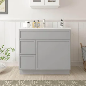 Vanity Art 36 in. W x 21 in. D x 32.5 in. H 2-Left Drawers Bath Vanity Cabinet without Top in Gray