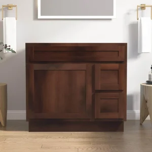 Vanity Art 36 in. W x 21 in. D x 32.5 in. H 2-Right Drawers Bath Vanity Cabinet Only in Brown