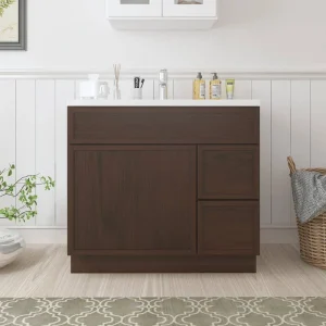 Vanity Art 36 in. W x 21 in. D x 32.5 in. H 2-Right Drawers Bath Vanity Cabinet without Top in Brown