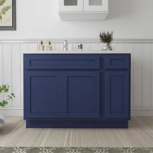 Vanity Art 42 in. W x 21 in. D x 32.5 in. H Bath Vanity Cabinet without Top in Blue T726947587