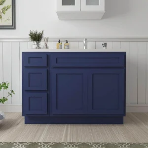 Vanity Art 48 in. W x 21 in. D x 32.5 in. H Bath Vanity Cabinet without Top in Blue T726947578