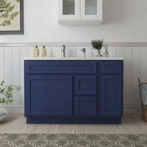 Vanity Art 48 in. W x 21 in. D x 32.5 in. H Bath Vanity Cabinet without Top in Blue T726947589