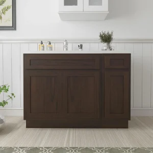 Vanity Art 48 in. W x 21 in. D x 32.5 in. H Bath Vanity Cabinet without Top in Brown