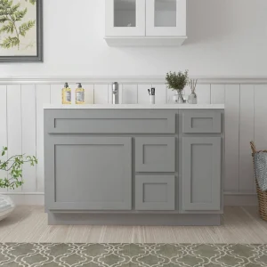 Vanity Art 48 in. W x 21 in. D x 32.5 in. H Bath Vanity Cabinet without Top in Gray T726947875