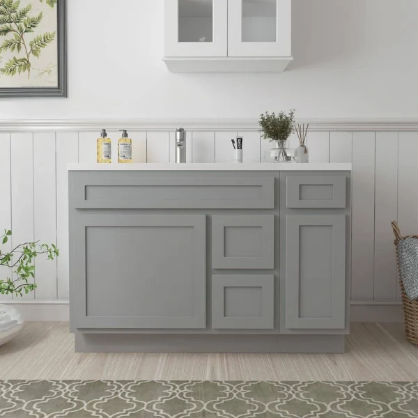 Vanity Art 48 in. W x 21 in. D x 32.5 in. H Bath Vanity Cabinet without Top in Gray T726947875