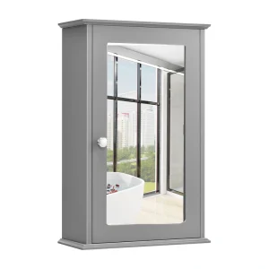 WELLFOR 13.5-in x 21-in Surface Mount Gray Mirrored Medicine Cabinet