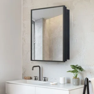 WELLFOR 16-in x 24-in Surface/Recessed Mount Black Mirrored Medicine Cabinet T726916707
