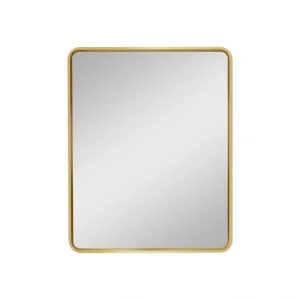 WELLFOR 20-in x 28-in Surface/Recessed Mount Gold Mirrored Medicine Cabinet