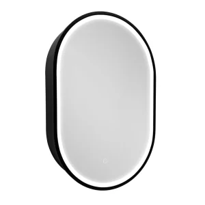 WELLFOR 21-in x 31-in Lighted LED Fog Free Surface Mount Black Mirrored Oval Medicine Cabinet T726916668