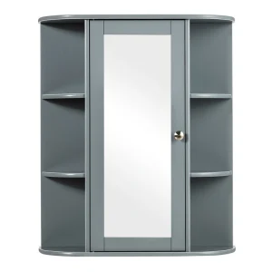 WELLFOR 23.5-in x 28-in Surface Mount Gray Mirrored Medicine Cabinet