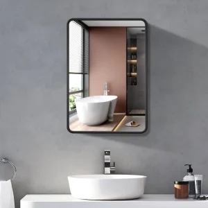 WELLFOR 24-in x 30-in Surface/Recessed Mount Black Mirrored Medicine Cabinet