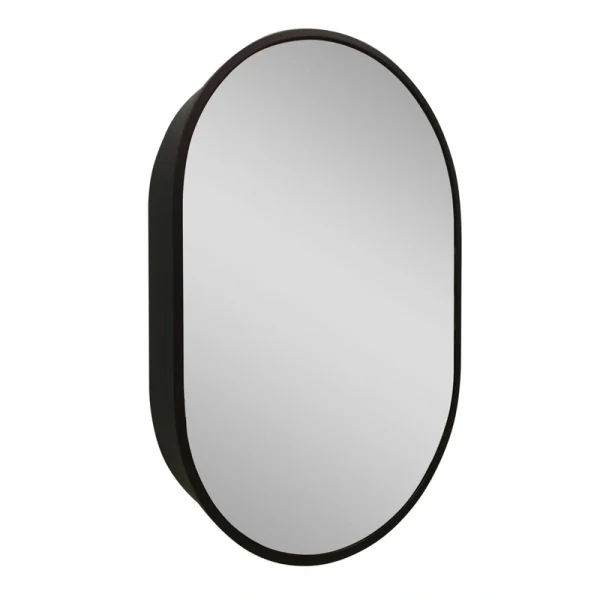 WELLFOR 24-in x 36-in Surface Mount Black Mirrored Oval Medicine Cabinet T726916622