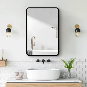 WELLFOR AO 20-in x 28-in Surface/Recessed Mount Black Mirrored Medicine Cabinet