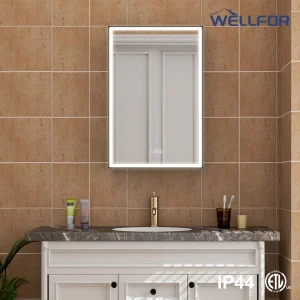 WELLFOR AYLA 20-in x 30-in Lighted LED Fog Free Surface/Recessed Mount Black Soft Close Medicine Cabinet with Outlet T726916522