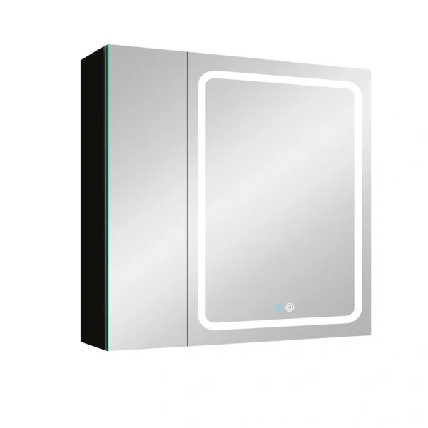 WELLFOR BG 30-in x 30-in Lighted LED Fog Free Surface Mount Black Mirrored Soft Close Medicine Cabinet T726916571