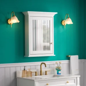WELLFOR GRACE Solid Wood 24-in x 30-in Surface Mount White Mirrored Soft Close Medicine Cabinet T726916684