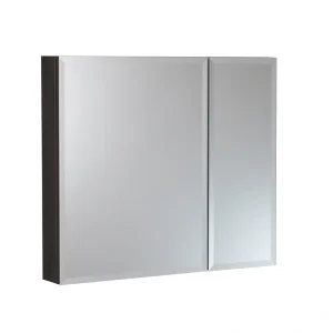 WELLFOR KAIF 30-in x 26-in Surface/Recessed Mount Black Mirrored Soft Close Medicine Cabinet