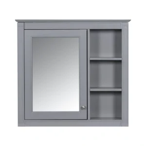 WELLFOR MR 30-in x 28-in Surface Mount Gray Mirrored Soft Close Medicine Cabinet