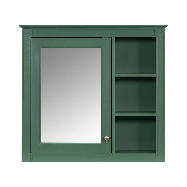 WELLFOR MR 30-in x 28-in Surface Mount Green Mirrored Soft Close Medicine Cabinet